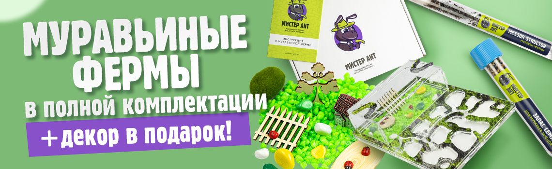 Декор - в подарок!